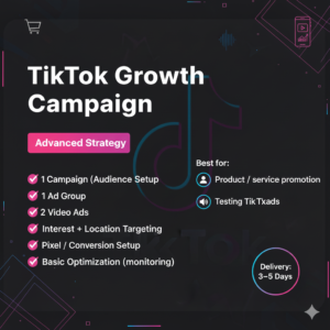 Plan B-TikTok Growth Campaign